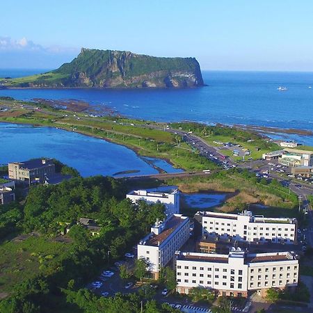 Playce Camp Jeju Hotel Oso-ri Eksteriør billede